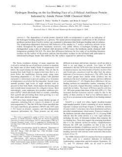 Hydrogen Bonding on the Ice-Binding Face of a β