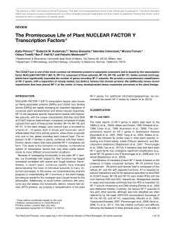 The Promiscuous Life of Plant NUCLEAR FACTOR Y Transcription