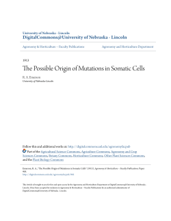 The Possible Origin of Mutations in Somatic Cells