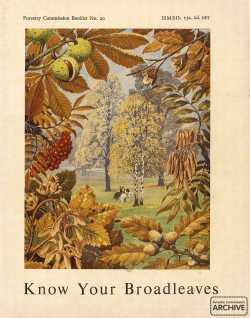 Forestry Commission Booklet: Know your broadleaves