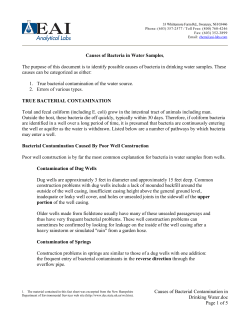 Causes of Bacterial Contamination in Drinking Water.doc Page 1 of