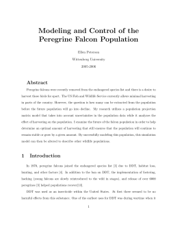 Modeling and Control of the Peregrine Falcon Population