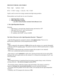 1 PHOTOSYNTHESIS AND ENERGY Photo &ndash; light Synthesis &ndash; build