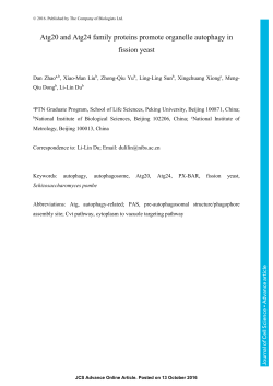 Atg20 and Atg24 family proteins promote organelle autophagy in