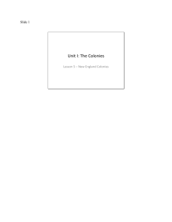 NE Colonies - Pilgrims/Puritans