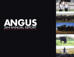 2014 annual report - American Angus Association