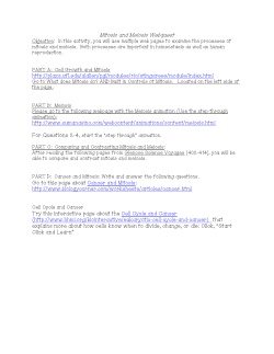 Mitosis and Meiosis WebQuest with websites