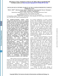 CDC28 AND CDC14 CONTROL STABILITY OF THE ANAPHASE