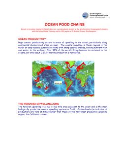 ocean food chains