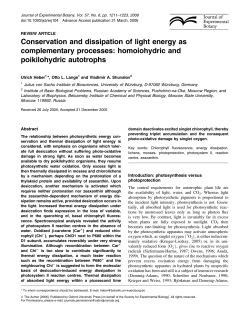 Conservation and dissipation of light energy as