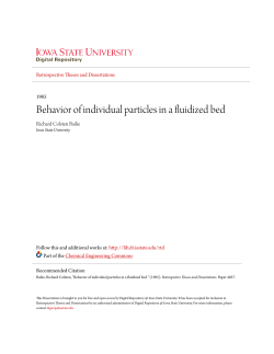 Behavior of individual particles in a fluidized bed