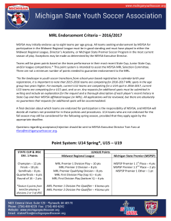 MSYSA Endorsement Criteria - Michigan State Youth Soccer