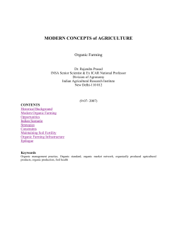 as a PDF