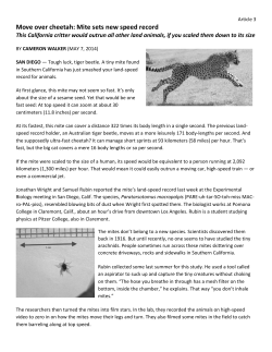 Move over cheetah: Mite sets new speed record