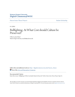 Bullfighting: At What Cost should Culture be Preserved?