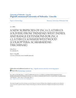 a new subspecies of inca clathrata (olivier) from trinidad, west indies