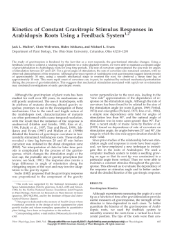 Kinetics of Constant Gravitropic Stimulus Responses in Arabidopsis