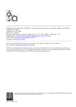 Hybrid Forms, Property Rights, and Mixed Economy in China