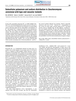 Subcellular potassium and sodium distribution in Saccharomyces