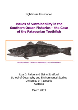 Issues of Sustainability in the Southern Ocean Fisheries &ndash; the Case