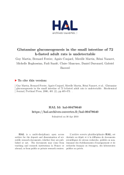 Glutamine gluconeogenesis in the small intestine of 72 h