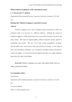 as a PDF