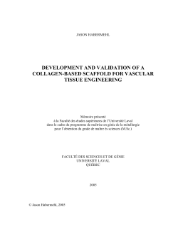 development and validation of a collagen
