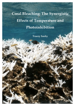 Coral Bleaching: The Synergistic Effects of Temperature and