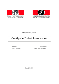 Centipede Robot Locomotion - Biorobotics Laboratory (BioRob)