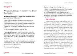 Molecular Biology of Geminivirus DNA Replication