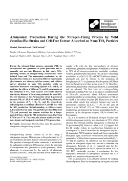 Ammonium Production During the Nitrogen
