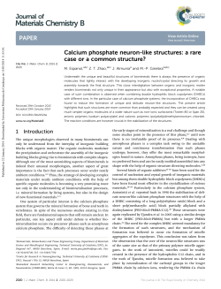 Calcium phosphate neuron-like structures