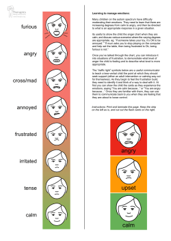 anger scale