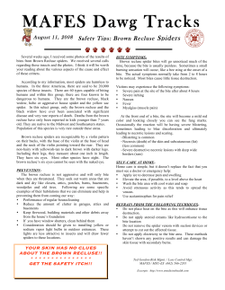 MAFES Dawg Tracks - Safety Tips: Brown Recluse Spiders