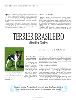 Brazilian Terrier - Ria H&ouml;rter, Dog Writer