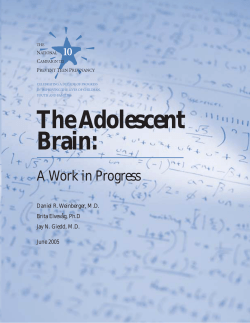 The Adolescent Brain