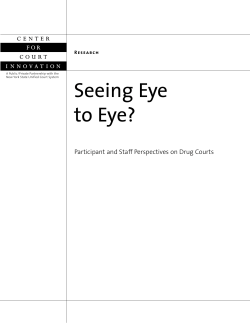 Seeing Eye to Eye? - Center for Court Innovation