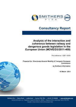 Consultancy Report - European Commission