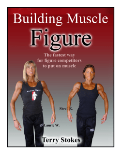 File - Stokes Fitness