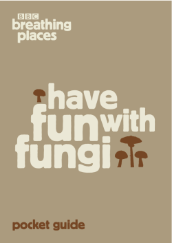 BBC Breathing Places Have Fun With Fungi Booklet