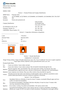 Potassium Nitrite (2009)