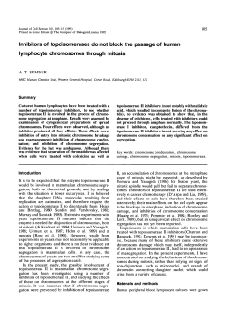 Inhibitors of topoisomerases do not block the passage of human