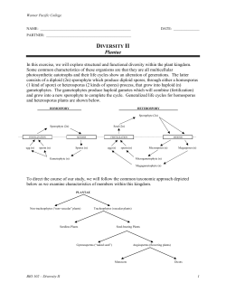 diversity ii - Warner Pacific College