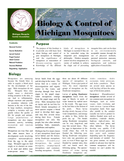 Biology and Control of Michigan Mosquitoes