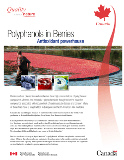 Polyphenols in Berries - Agriculture et Agroalimentaire Canada