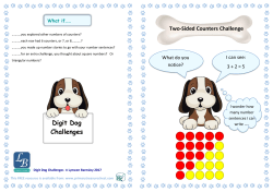 Digit Dog Challenges - Primary Treasure Chest