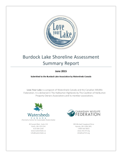Burdock Lake Shoreline Assessment Summary Report