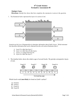 6th Grade Science Formative Assessment #8