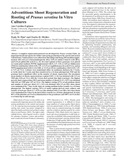 Adventitious Shoot Regeneration and Rooting of Prunus serotina In