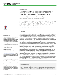 Mechanical Stress Induces Remodeling of Vascular Networks in